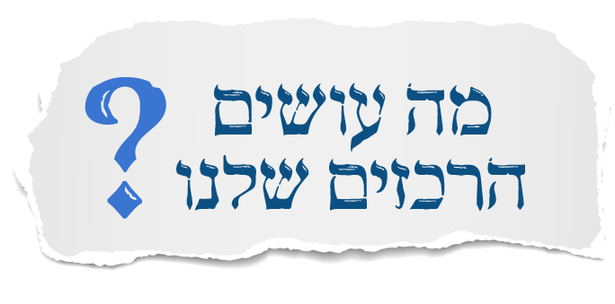מה עושים הרכזים שלנו?
